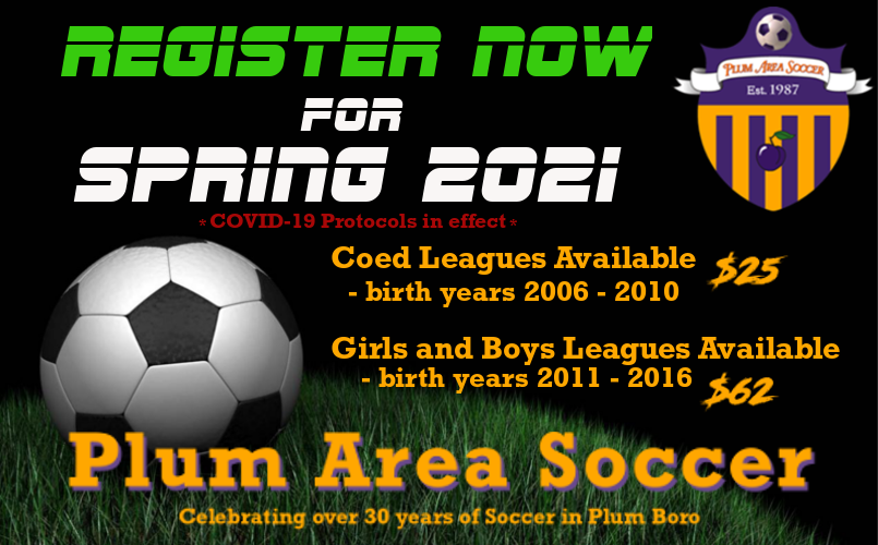 Plum Area Soccer Home